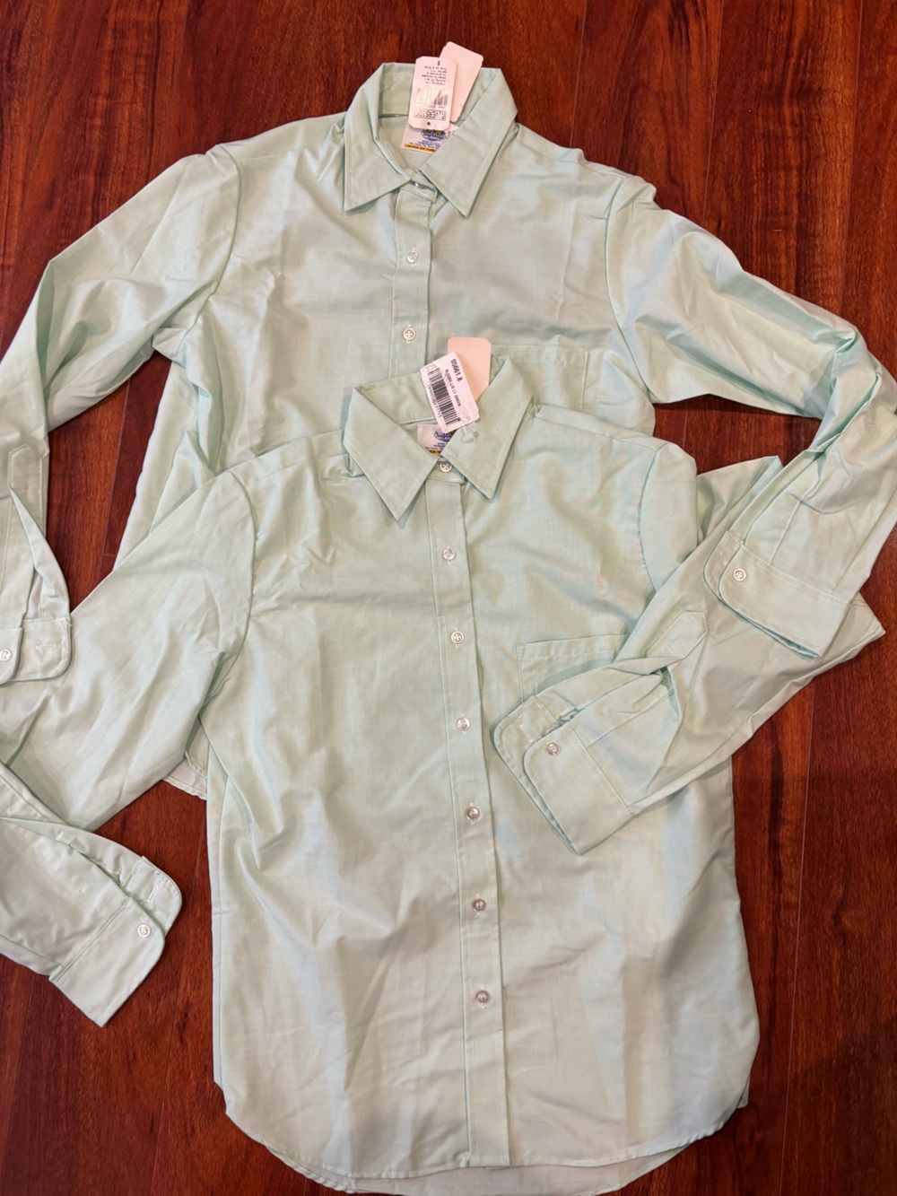 Classic Women's Button-Down Shirt in Light Mint